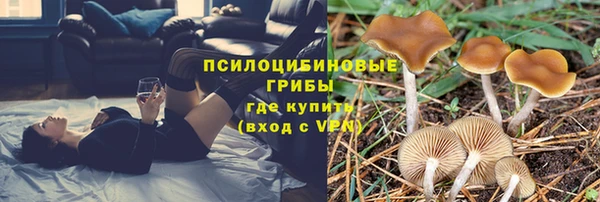 скорость Аркадак